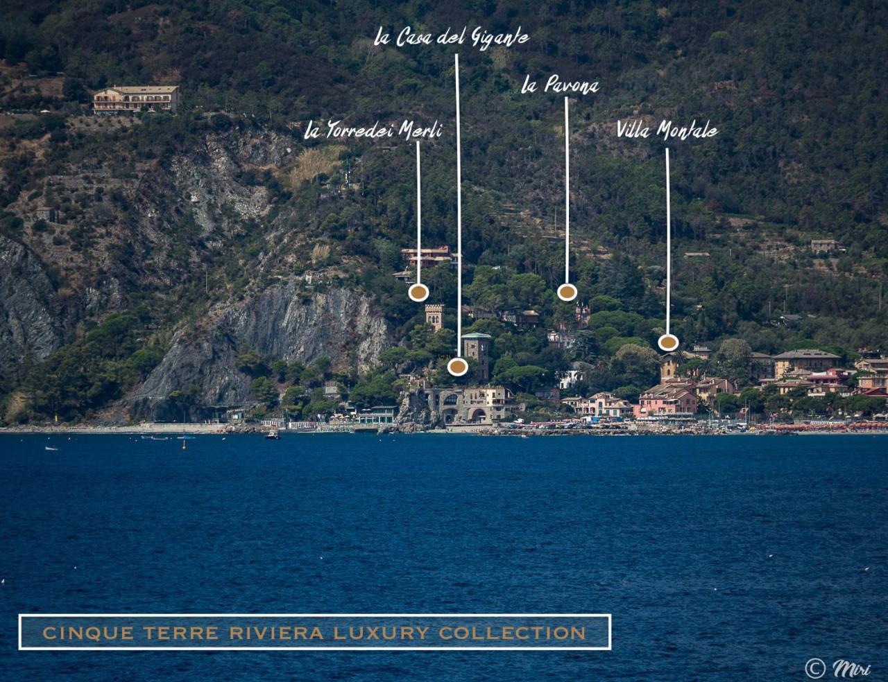 Villa Montale Apartment I Limoni Monterosso al Mare Eksteriør bilde